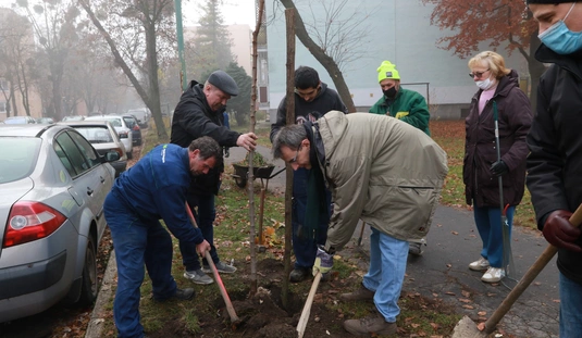 Fákkal és bokrokkal zöldült a Kilián-dél 