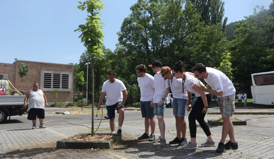 Faültetés a Lovagi Tornák terén 