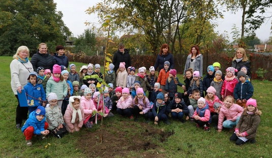 Faültetés Szirmán 