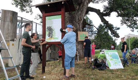 Rendbetették a bulgárföldi fekete nyárfa környezetét 