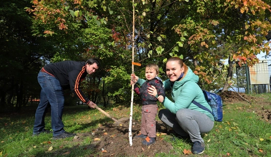 Faültetés az újszülöttek parkjában 