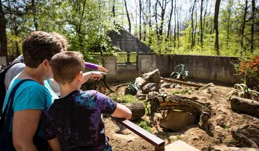 Föld napja a Miskolci Állatkertben 