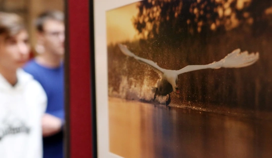 Bóta István vad és természetfotós kiállítása az egyetemen 