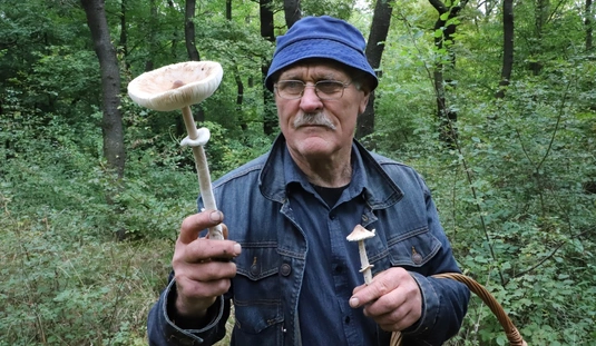 Gombázás Lyukóvölgyben 