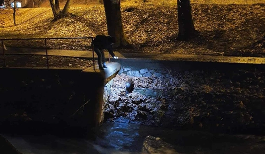 Fotó: olvasónktól 