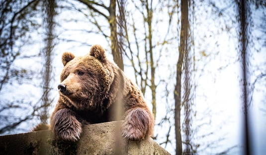 Húsvét az állatkertben 