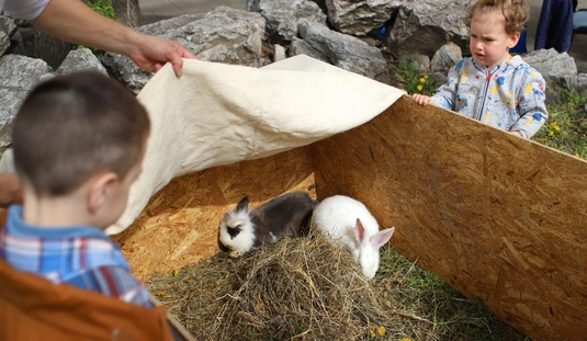 Húsvéti forgatag Diósgyőrben 
