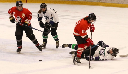 DVTK Jegesmedvék - KSI 