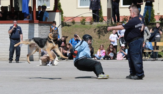 Kéklámpások nyílt napja 
