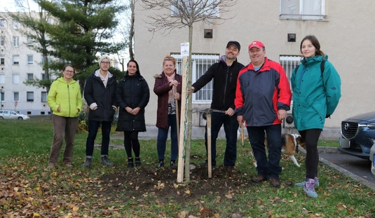 Közösségi faültetés a Dél-Kiliánban 