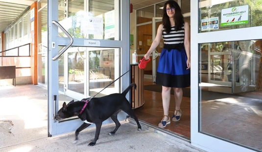 Kutyabarát lett a megyei könyvtár 