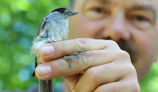 Madarak és fák napja az állatkertben 