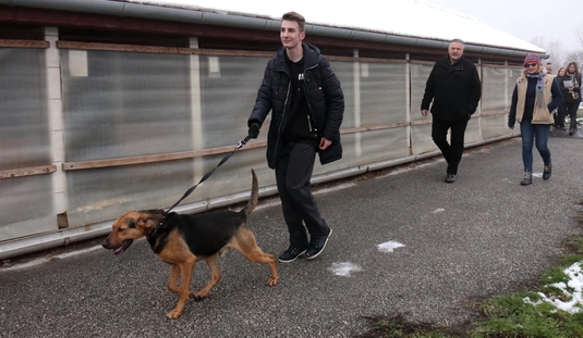 Látogatás a Miskolci Állatsegítő Alapítványnál 