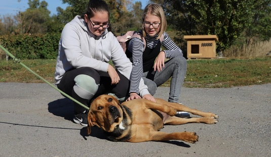 Állatok Világnapja a MÁSÁ-nál 