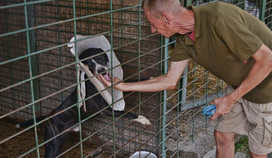 Második Esély Alapítvány 