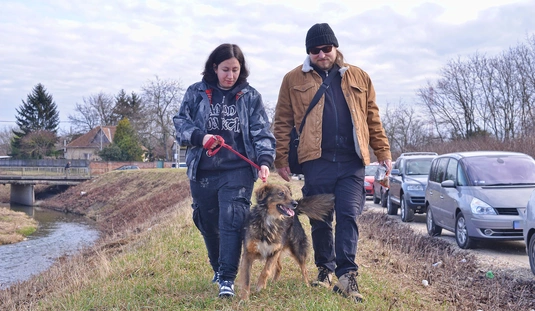200. nyílt nap a Miskolci Állategészségügyi Telepen 