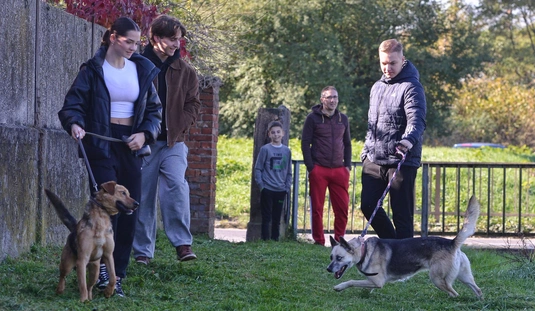 Miskolci Állategészségügyi telep 