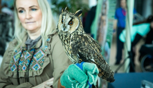 VIII. Miskolci bagolyles 