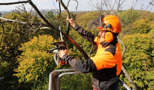 A Városgazda a Népkertben dolgozik 