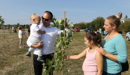 Csemetenap Nyékládházán 