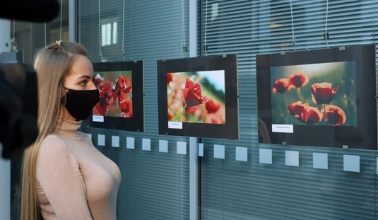 Pipacs, a vér virága - fotókiállítás a városházán 