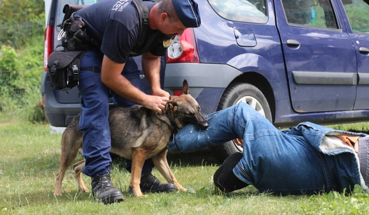 Rendvédelmi szolgálati kutya vizsga a Spider Mentőcsoportnál 