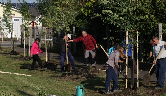  Településfásítási Program Sajóvámoson 