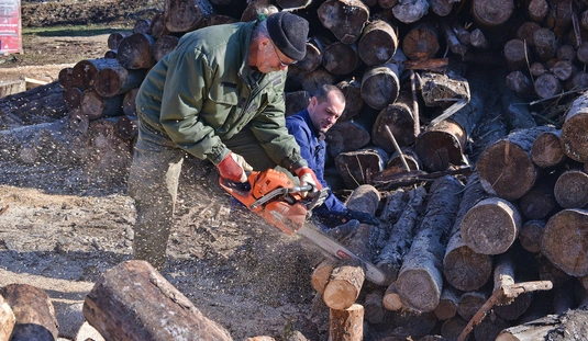 Szimbiózis Alapítvány favágás 