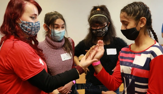 Tanítsunk Magyarországért mentori ösztöndíjprogram Miskolcon 