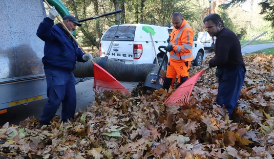 Városgazda: Őszi nagytakarítás és virágosítás Tapolcán 