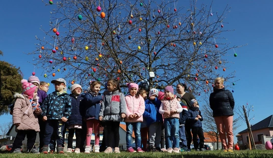 Tojásfa állítás Felsőzsolcán 