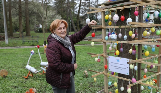 Tojásfa Miskolctapolcán 