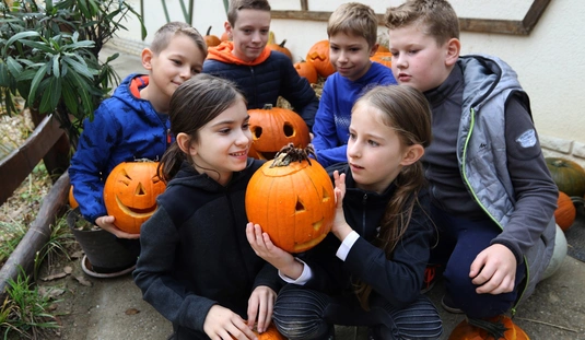 Töklámpások készülnek a miskolci állatkertben 