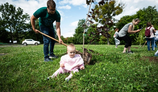 Faültetés az újszülöttek parkjában 
