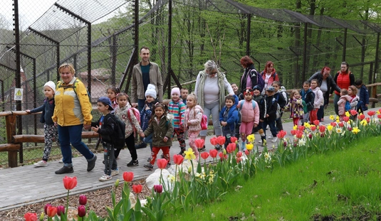 Óvodások látogathattak a Miskolci Állatkertbe 