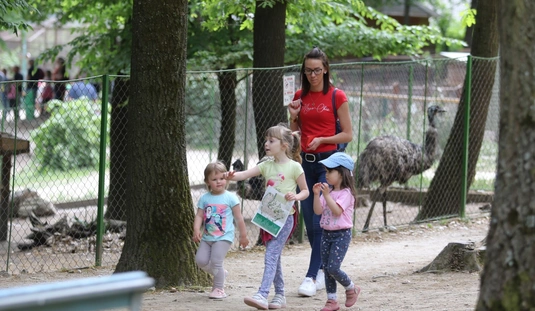 Újra fogadhat látogatókat a Miskolci Állatkert és Kultúrpark 