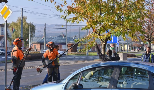 Városgazda őszi nagytakarítás: Újgyőri főtér környéke 
