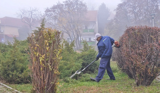 Városgazda őszi nagytakarítás: Megyei kórház – Katowice 