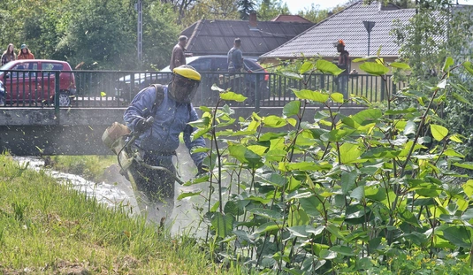Városgazda Szinva patak 