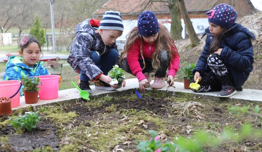 Virágültetés a Vilma-forrásnál 