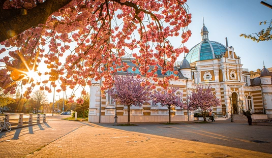 Virágba borult az Erzsébet tér  