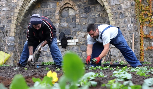 Városgazda: őszi virágosítás Lilladüreden, nagytakarítás az Árpád út mentén 