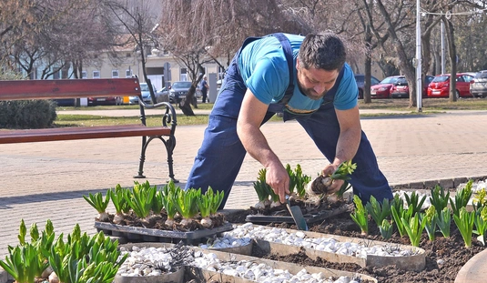Ültetik a virágokat a virágóránál 