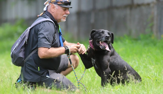 Nyílt nap az állategészségügyi telepen