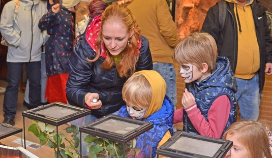 Halloween-est a Miskolci Állatkertben