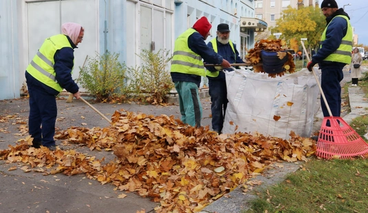 Takarítás, gallyazás, útburkolati jelek festése az Avason