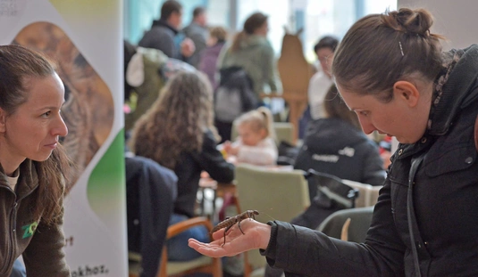 Miskolci Egyetem - Bagoly Nap