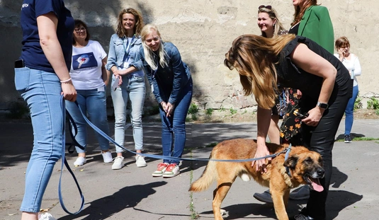 Office Dog Visit a Miskolc Holdingnál