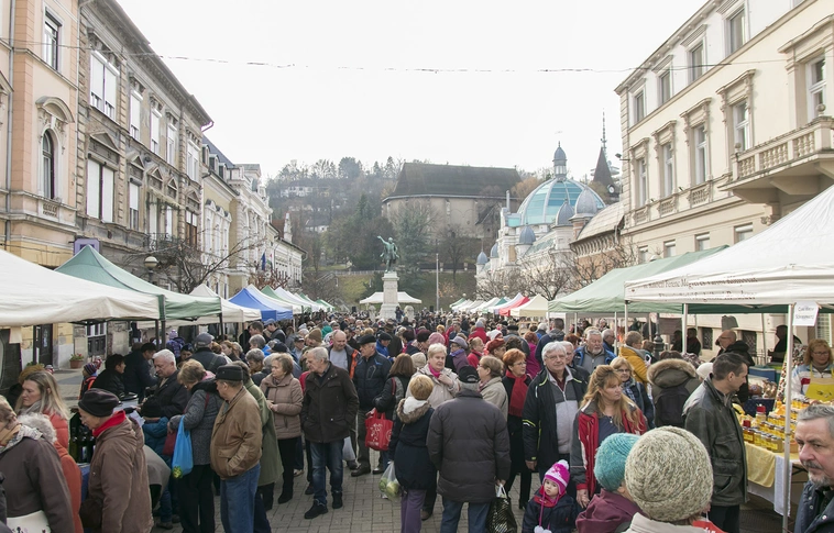 Frissesség, üde illatok, ropogós új ízek a Miskolci Termelői Napon 
