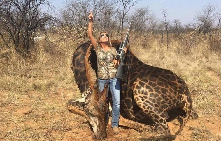 Zsiráfot ölt Afrikában, kitette az internetre